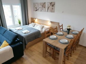 Apartmán Frymburk-Lipno G10, Frymburk Nad Vltavou